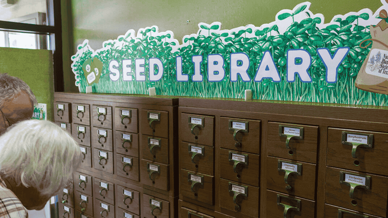 How to Source Native Seeds Through NPSOT Chapters